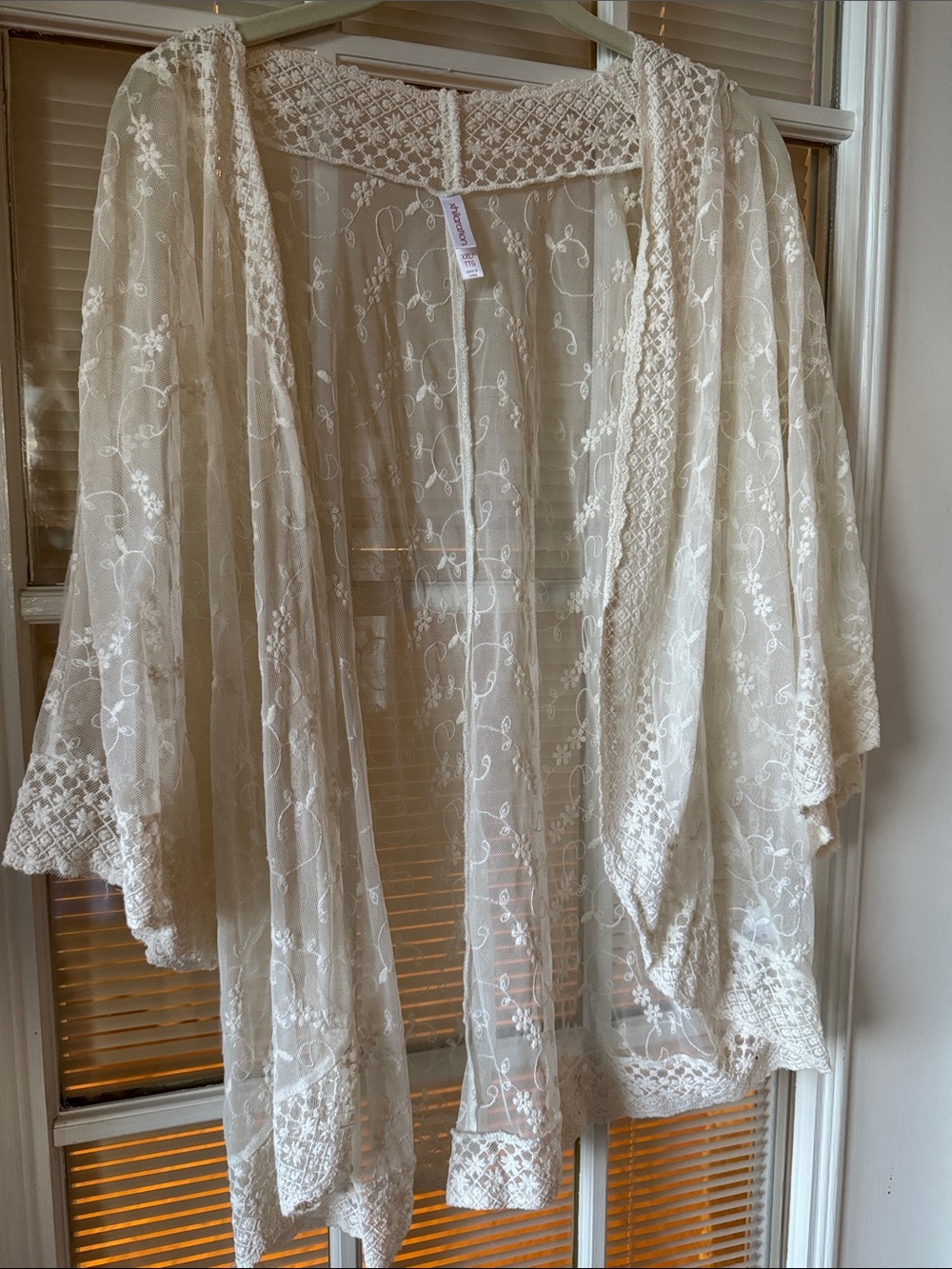 Xhilaration Sheer Embroidered Lace Robe in Cream